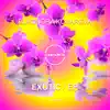 Eleonora Kosareva - Exotic - EP